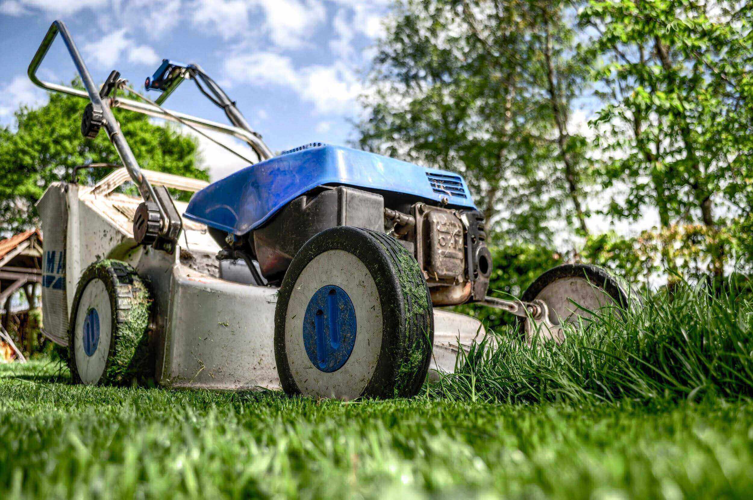 How Often Should You Mow the Lawn