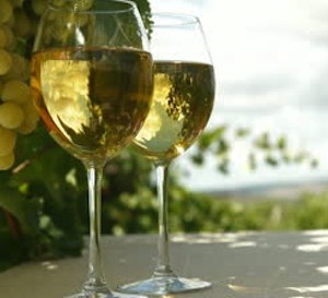 wwstock-footage-two-glasses-of-white-wine-and-bunch-of-muscat-white-grapes-tracking-shot