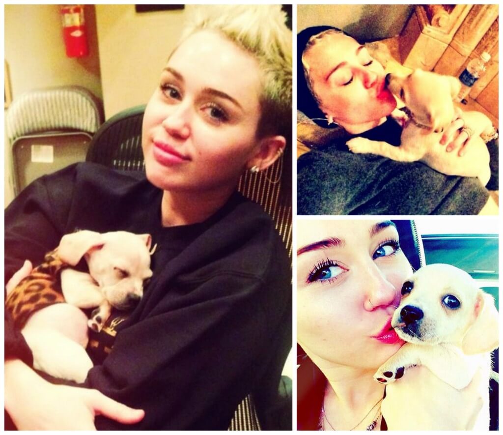 Miley-Cyrus-BEAN-Collage-1024x885