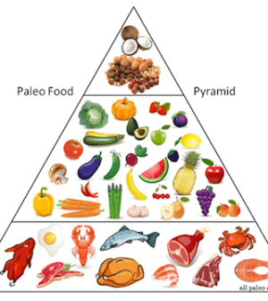 PaleoDiet