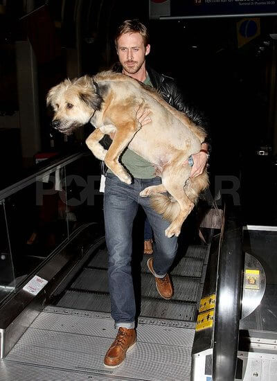 Pictures-Ryan-Gosling-Dog