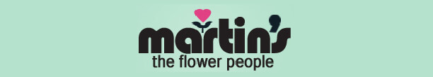 matrinsbanner